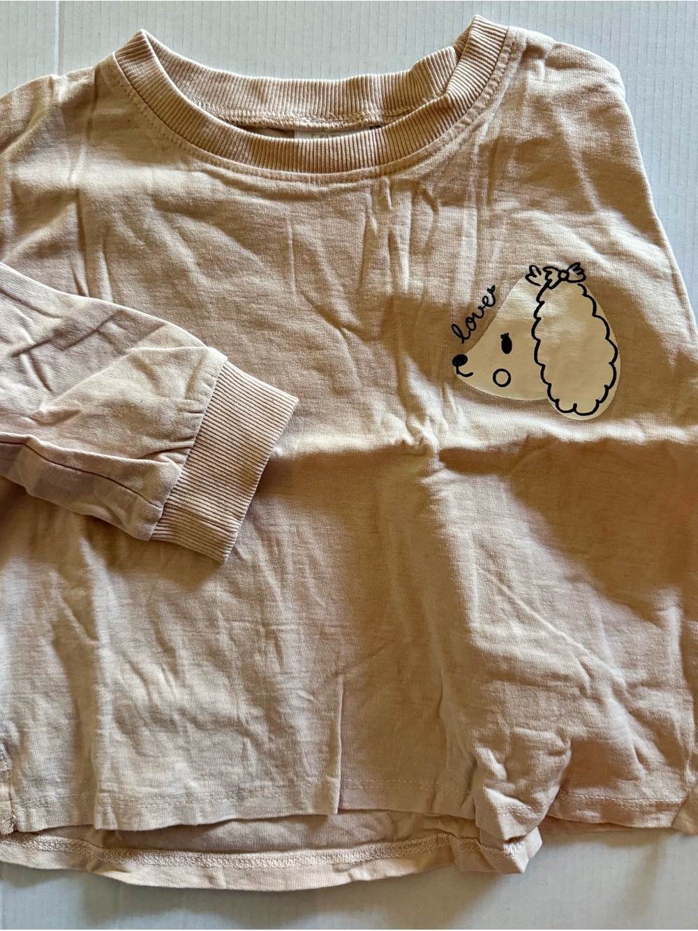 Zara Girls' Cream Graphic Long-Sleeve Top - Cute Poodle Print